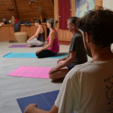 Cours de Yoga au Plan (31)