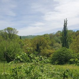 séjour yoga randonnée nature