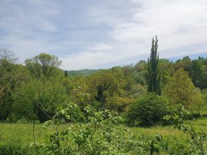 environnement nature