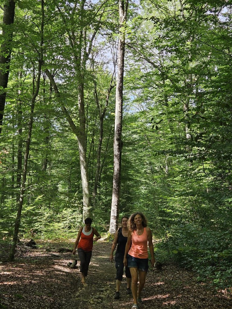 balade en forêt