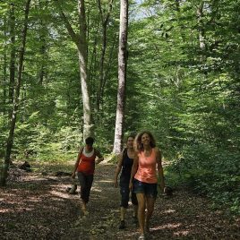 balade en forêt