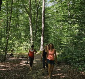 yoga marche méditation balade en forêt
