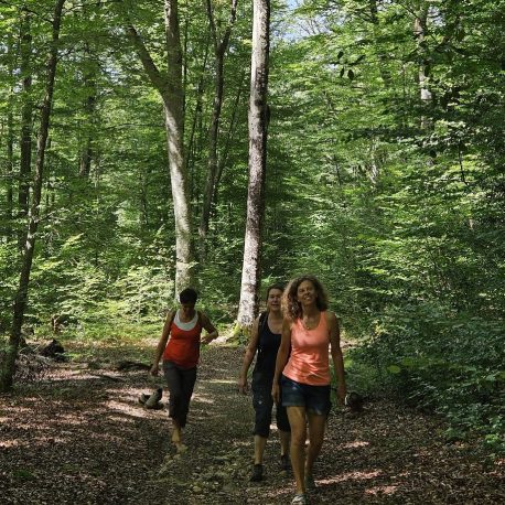 balade en forêt