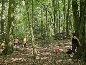 balade en forêt hauteur des arbres