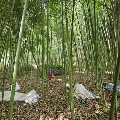 yoga nidra dans la bambousaie